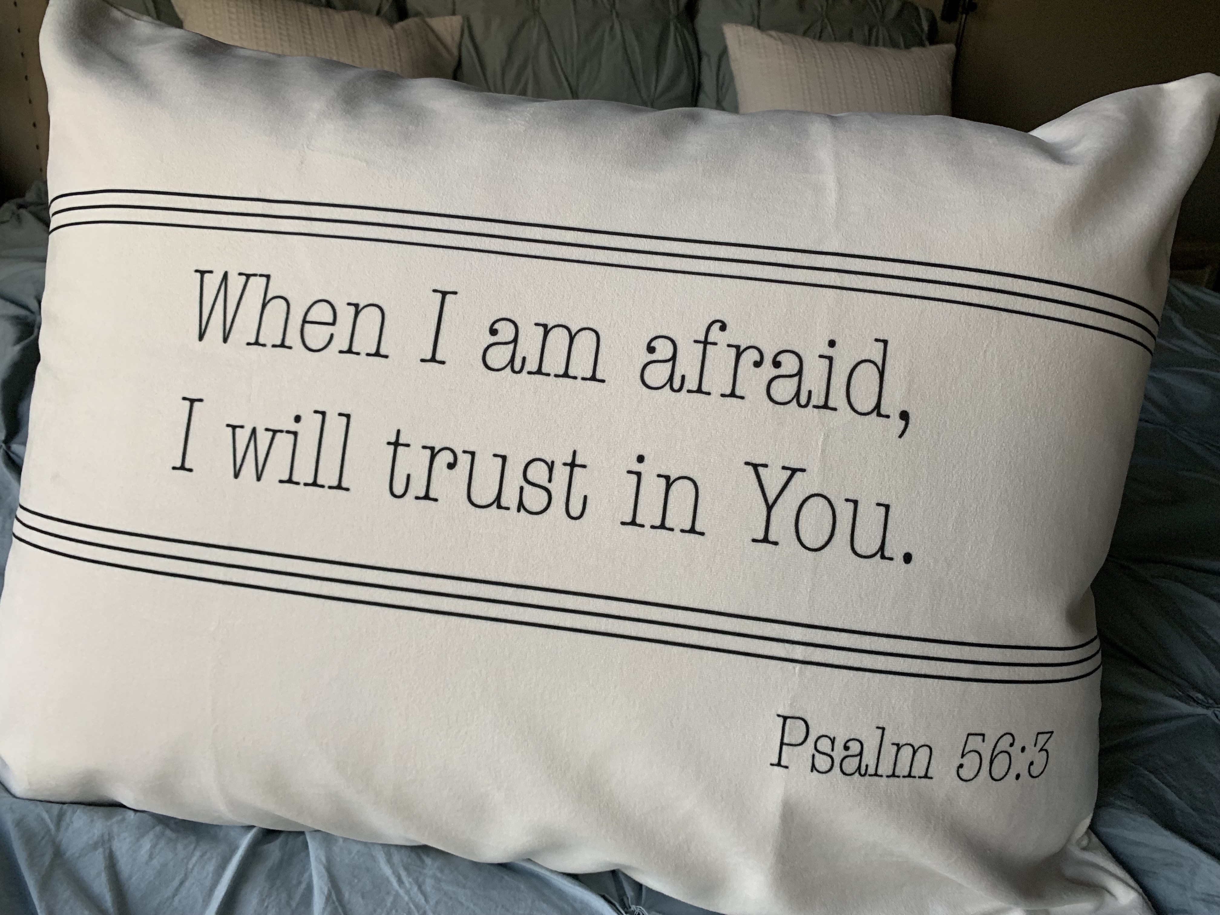 Luxe Velveteen Scripture Pillowcase ~ Sham Psalm 56:3 Stripes - Renee ...