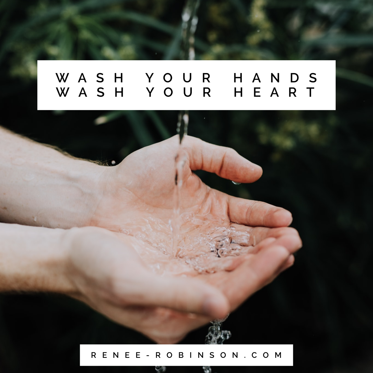 clean hands pure heart verse