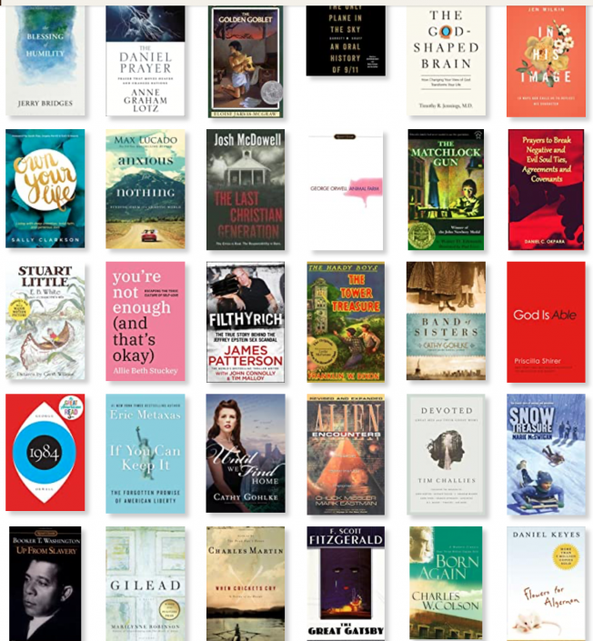 A Book List of 100 Books Across Several Genres - Renee Robinson